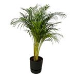 Combi Deal: Areca Palm Kamerplant inclusief elho Greenville Round zwart - Hoogte 130cm - Ø24cm